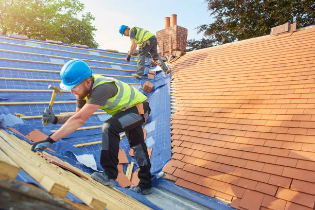 Best Roof Ventilation Installation  in Mantua, VA